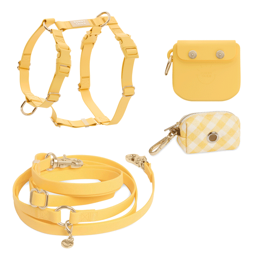 Best Sellers Harness & Large Treat Pouch Bundle