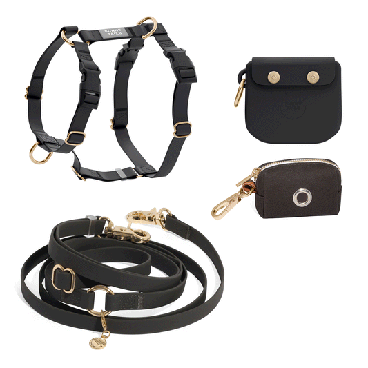 Best Sellers Harness & Standard Treat Pouch Bundle