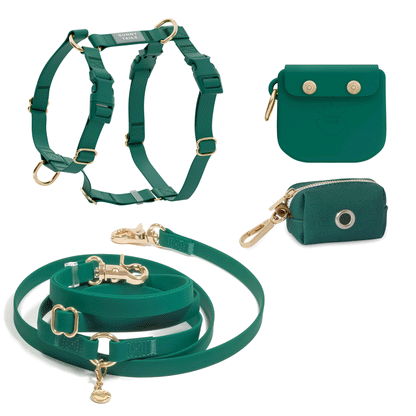 Best Sellers Harness & Standard Treat Pouch Bundle
