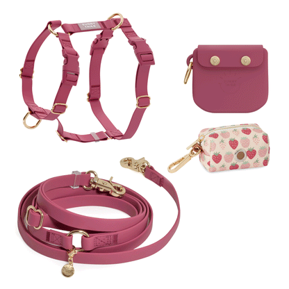 Best Sellers Harness & Standard Treat Pouch Bundle