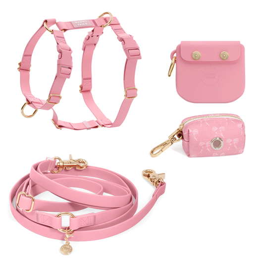 Best Sellers Harness & Large Treat Pouch Bundle