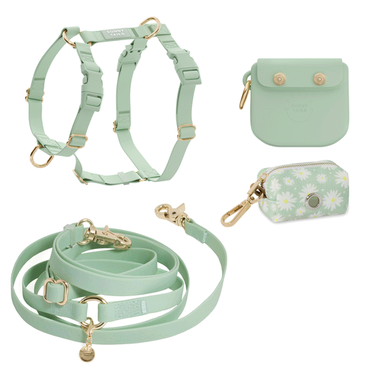 Best Sellers Harness & Large Treat Pouch Bundle