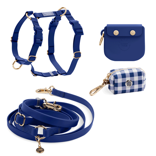 Best Sellers Harness & Standard Treat Pouch Bundle