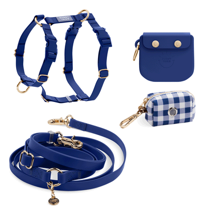 Best Sellers Harness & Large Treat Pouch Bundle