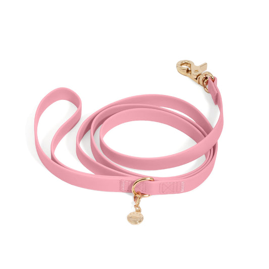 Perfect Pink Waterproof Cloud Dog Leash