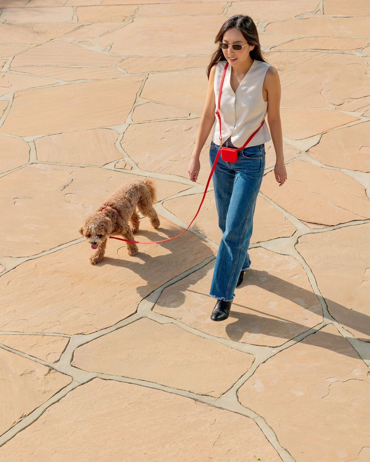 Cherry Red 4-in-1 Convertible Hands Free Cloud Dog Leash