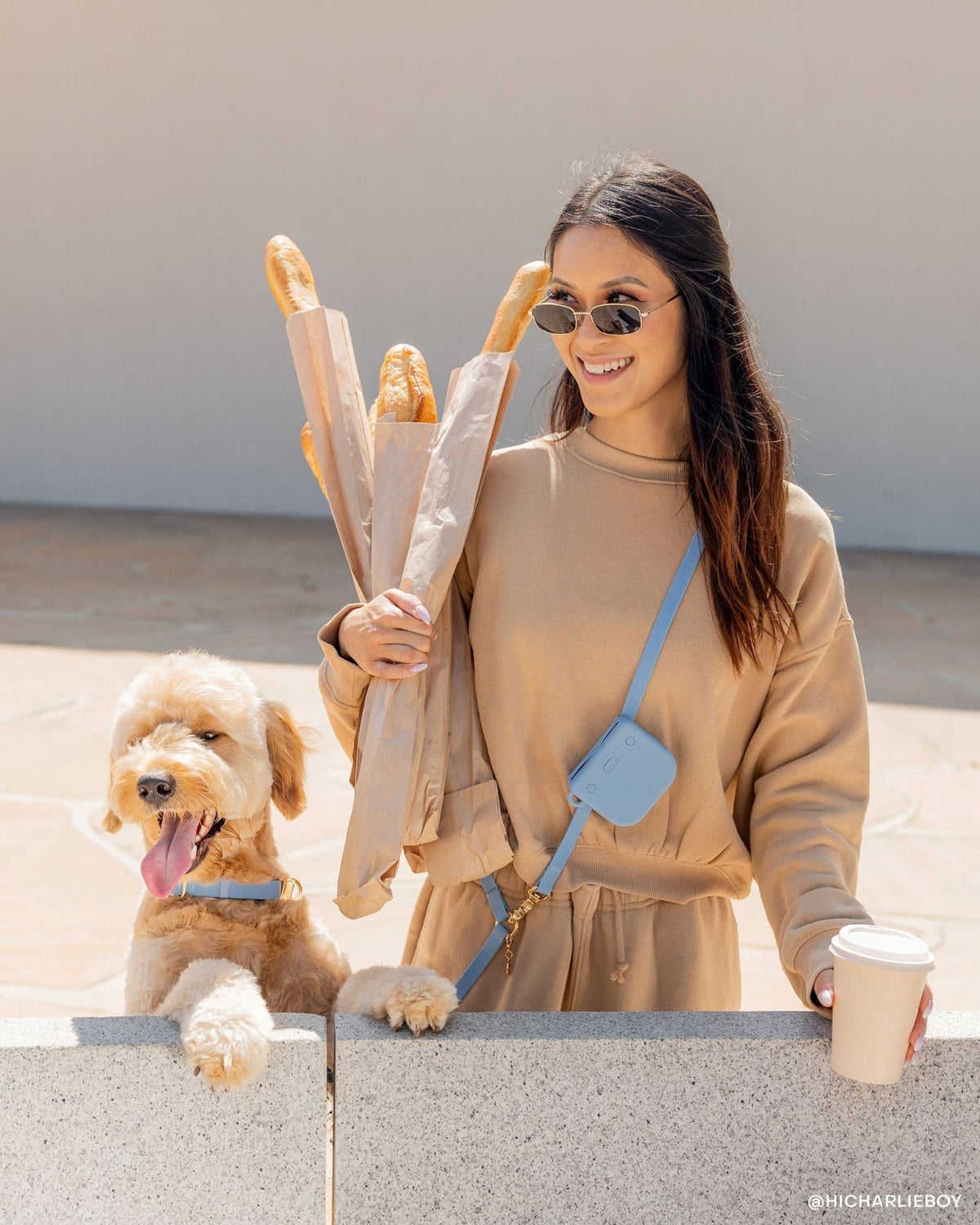 Best Sellers Harness & Standard Treat Pouch Bundle