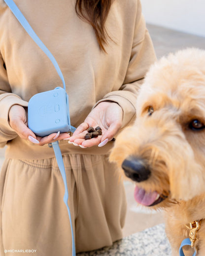 Best Sellers Collar & Treat Pouch Bundle