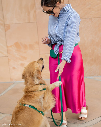 Meadow Green Snap Dog Treat Pouch
