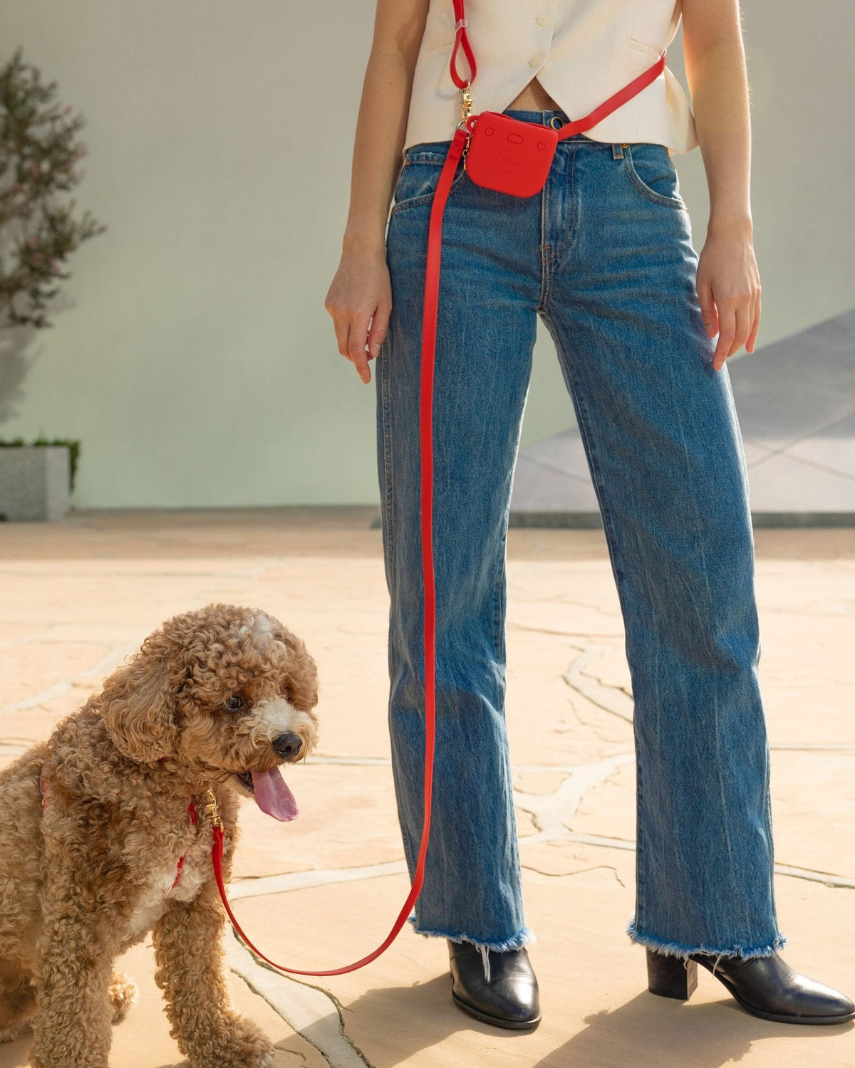 Cherry Red 4-in-1 Convertible Hands Free Cloud Dog Leash