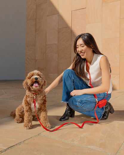 Best Sellers Collar & Treat Pouch Bundle
