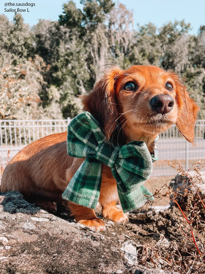 Forest Plaid Flannel Dog Sailor Bow