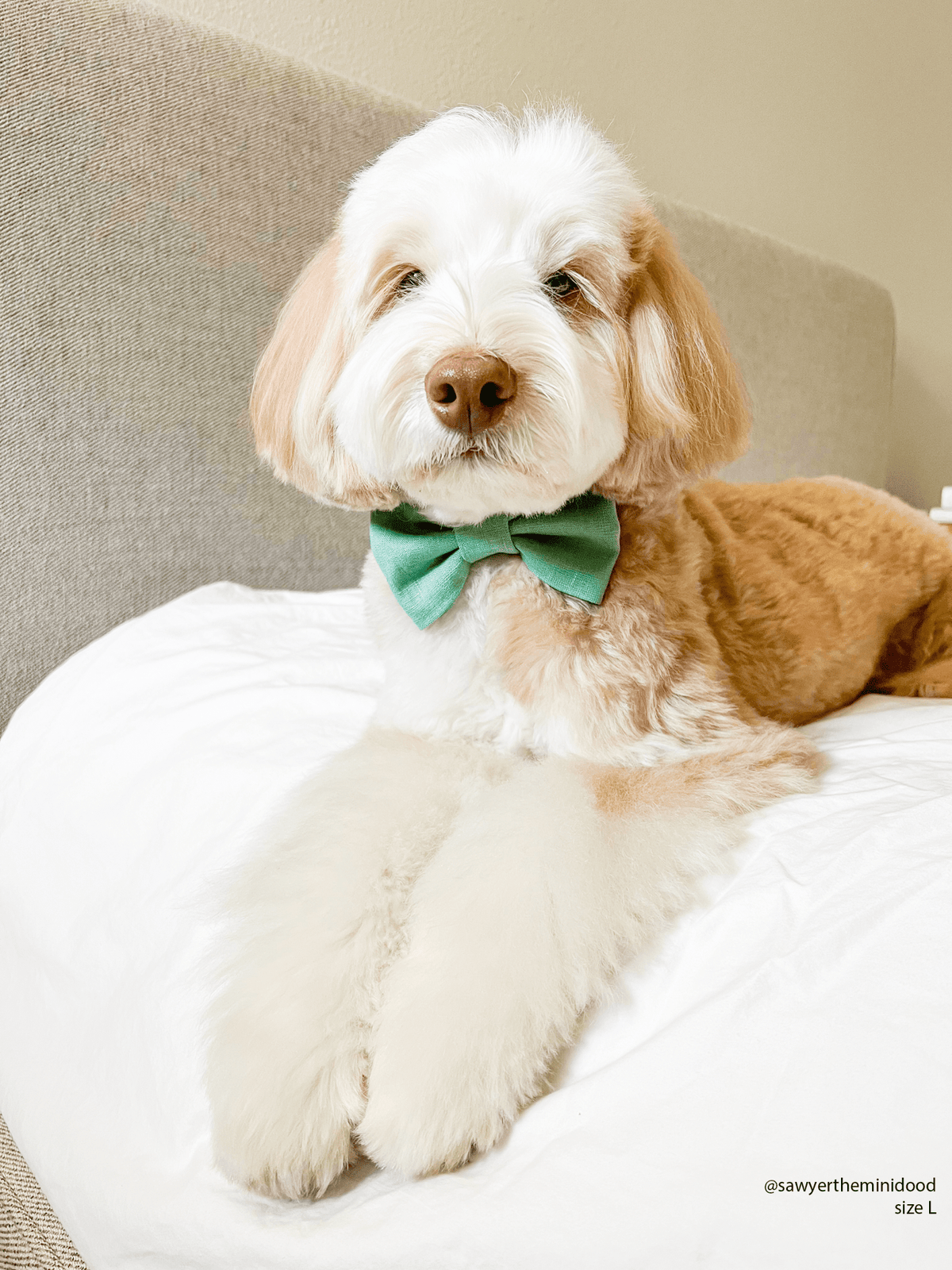 Matcha Sage Green Linen Dog Bow Tie