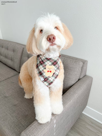 Holly Jolly Plaid Teddy Dog Bandana
