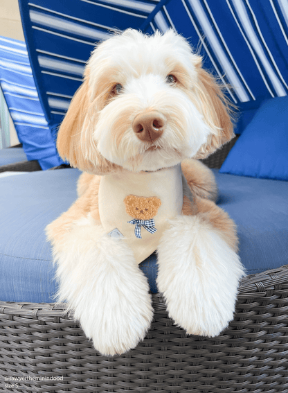 Picnic Teddy Ivory Linen Dog Bandana (Customizable)