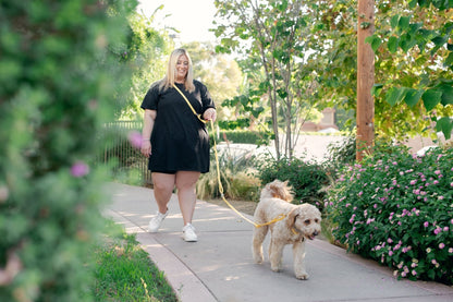 Dandelion Yellow Cloud Leash Extension