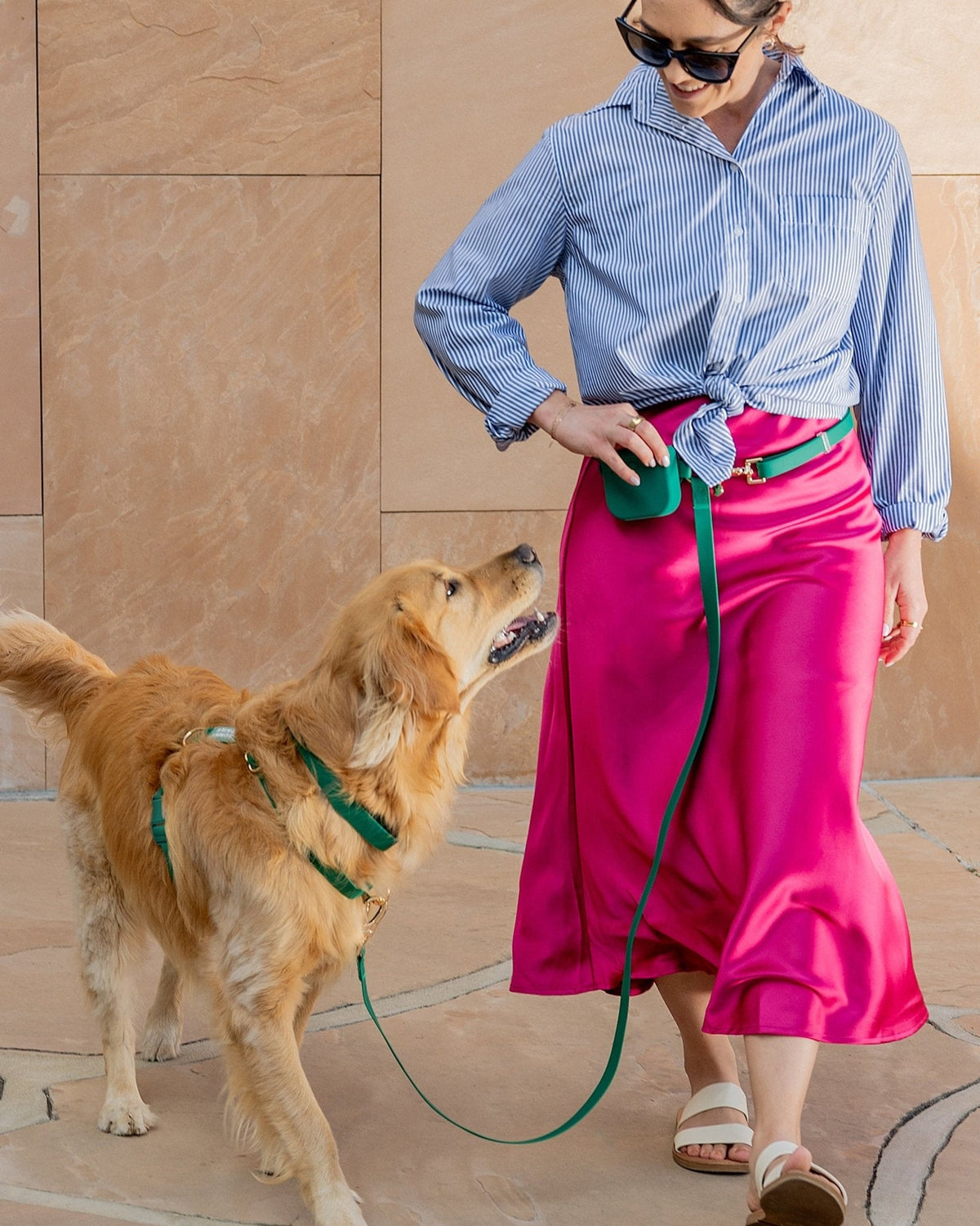 Cloud Lite Dog Harness Bundle