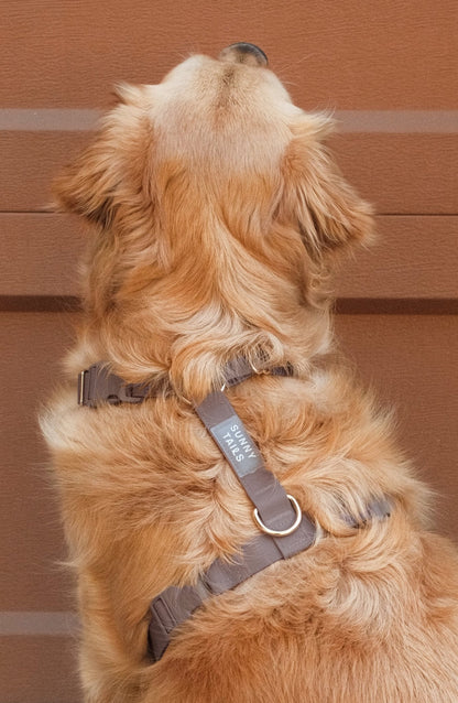 Cloud Lite Dog Harness Bundle