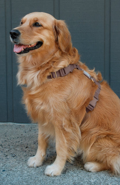 Best Sellers Harness & Standard Treat Pouch Bundle