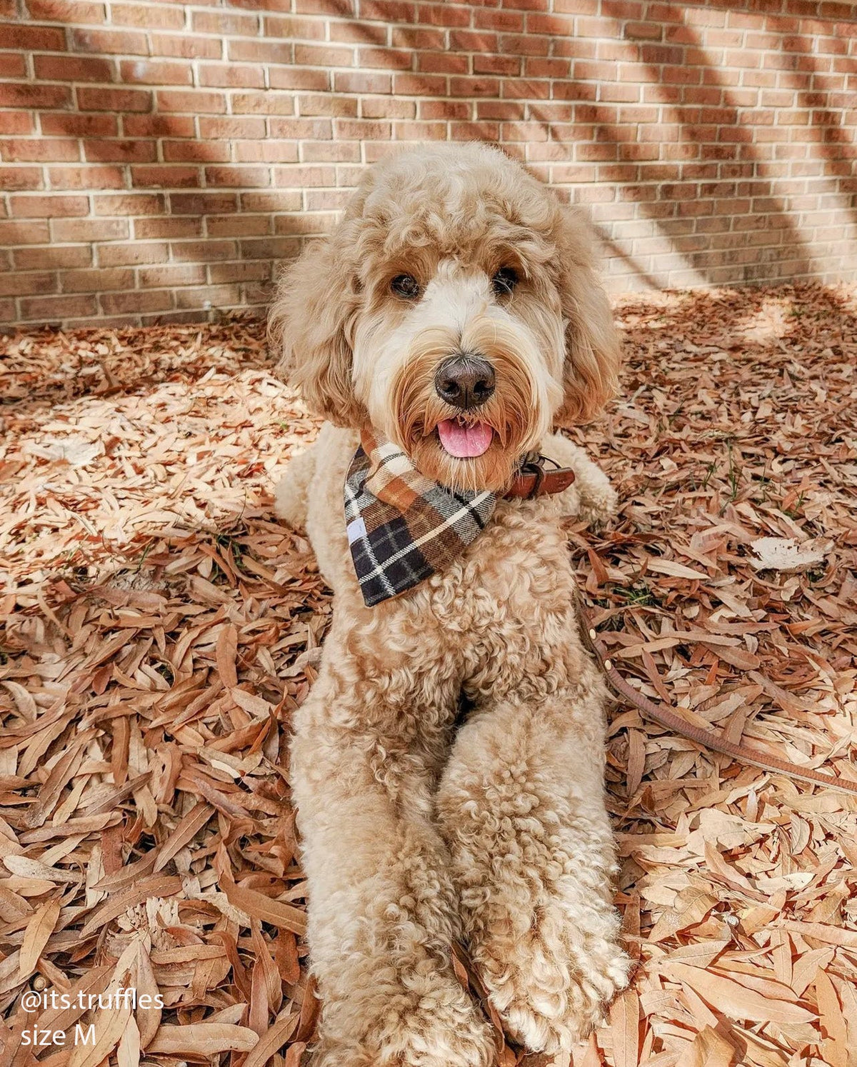 Harvest Plaid Flannel Dog Bandana
