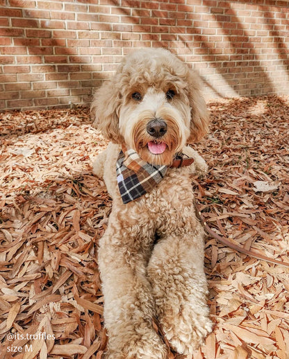 Harvest Plaid Flannel Dog Bandana