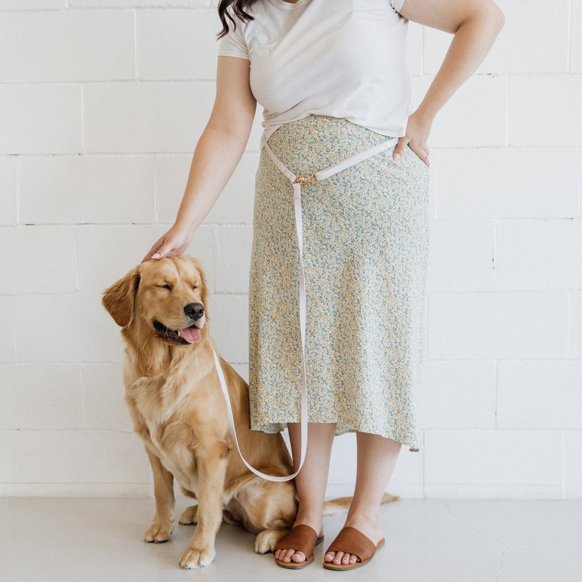 Best Sellers Harness & Standard Treat Pouch Bundle