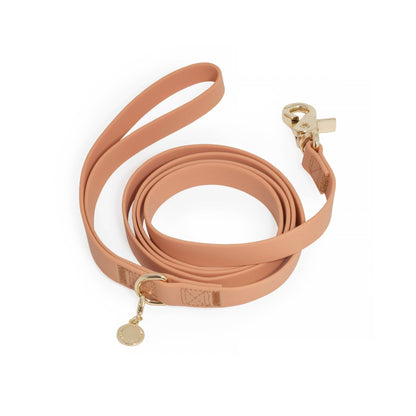 Chai Brown Waterproof Cloud Dog Leash