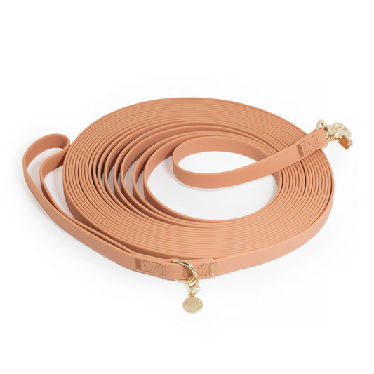 Chai Brown Waterproof Cloud 30 Ft Dog Leash