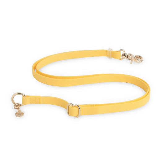 Dandelion Yellow Cloud Leash Extension