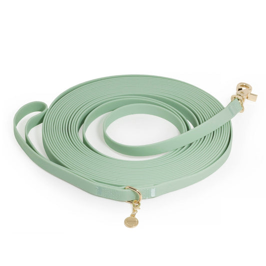 Pistachio Green Waterproof Cloud 30 Ft Dog Leash