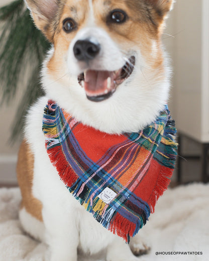 Holiday Cheer Dog Sailor Bow
