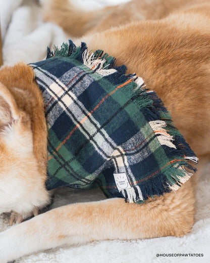 Evergreen Plaid Frayed Dog Bandana