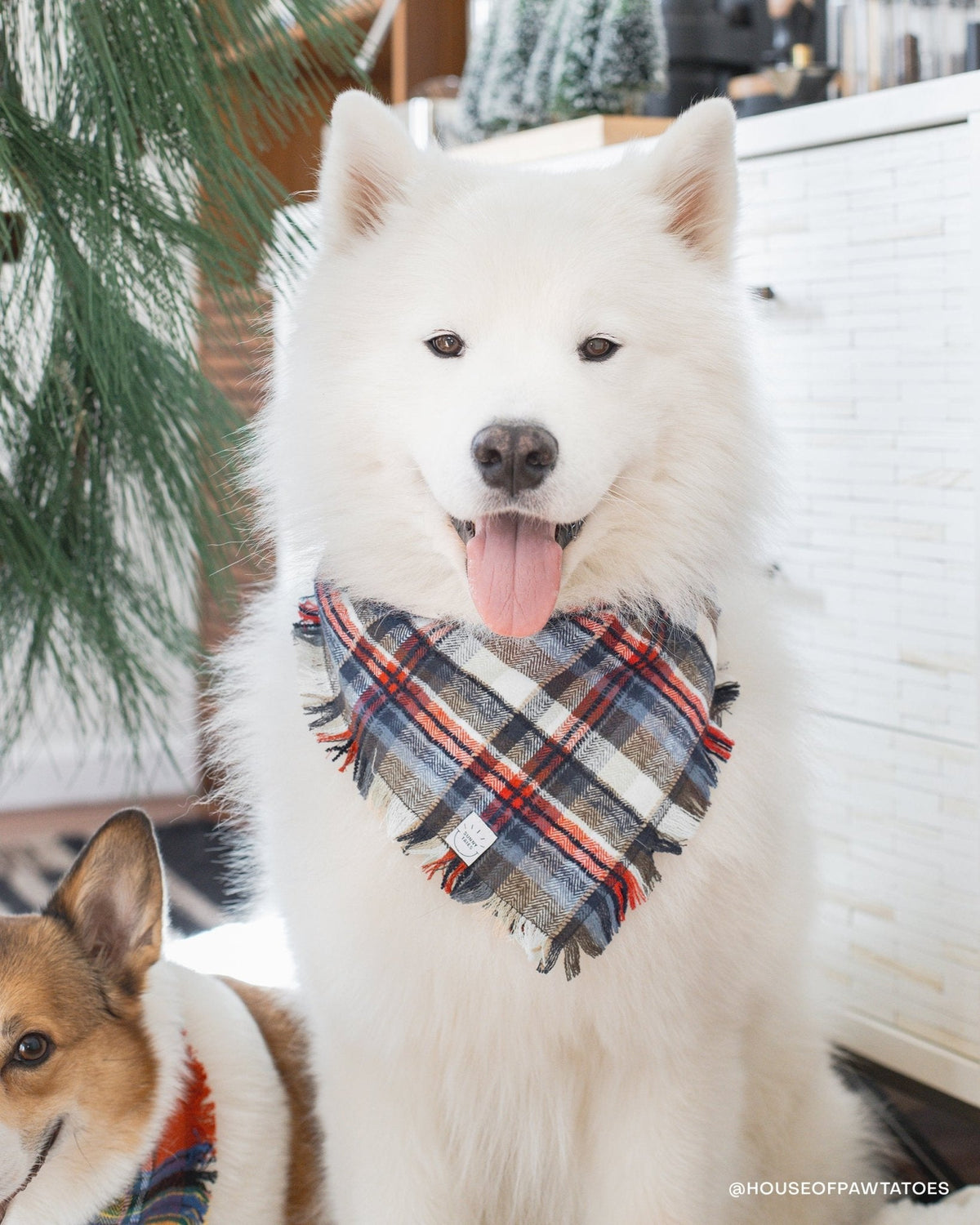 Frosted Forest Dog Sailor Bow