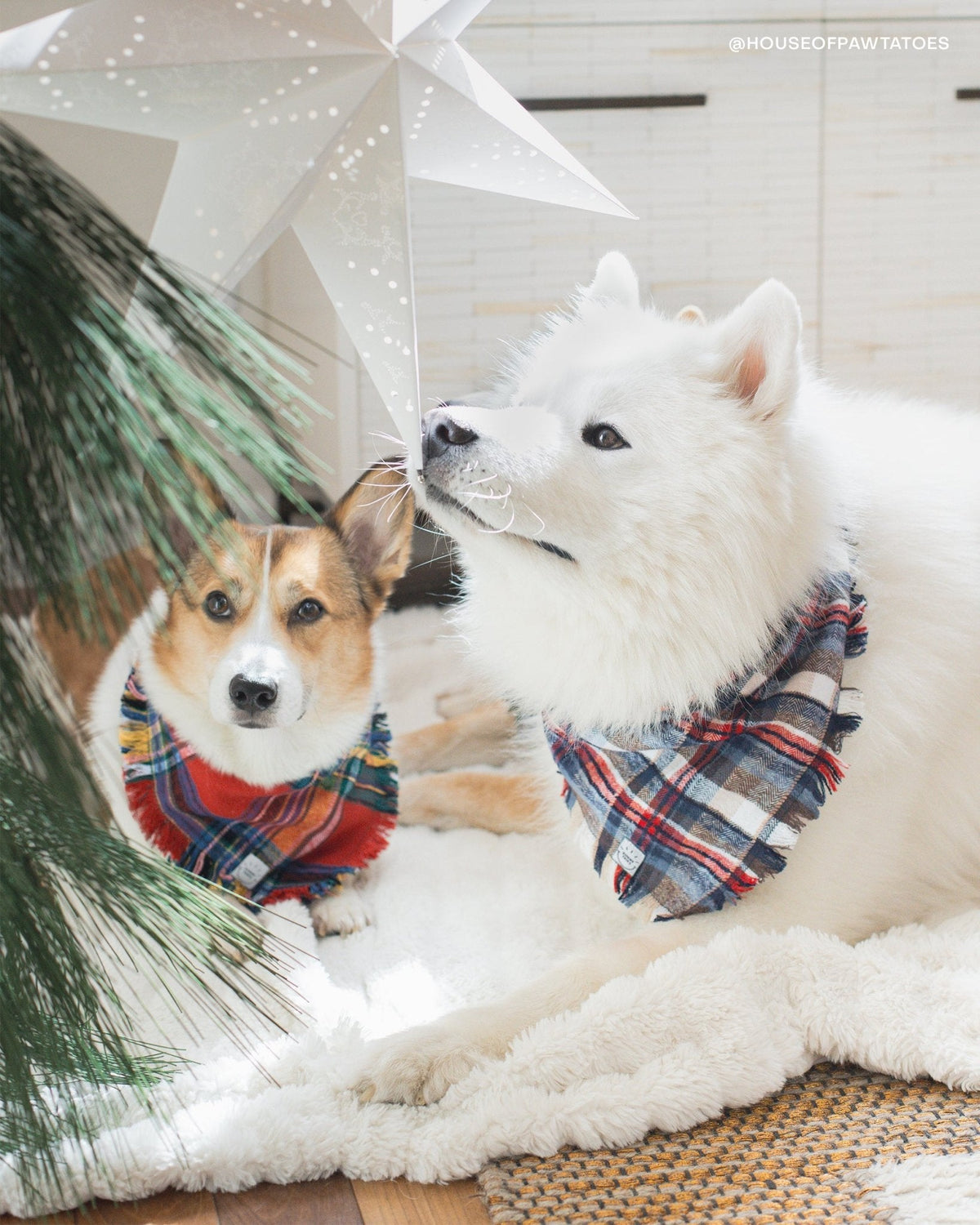 Frosted Forest Frayed Dog Bandana