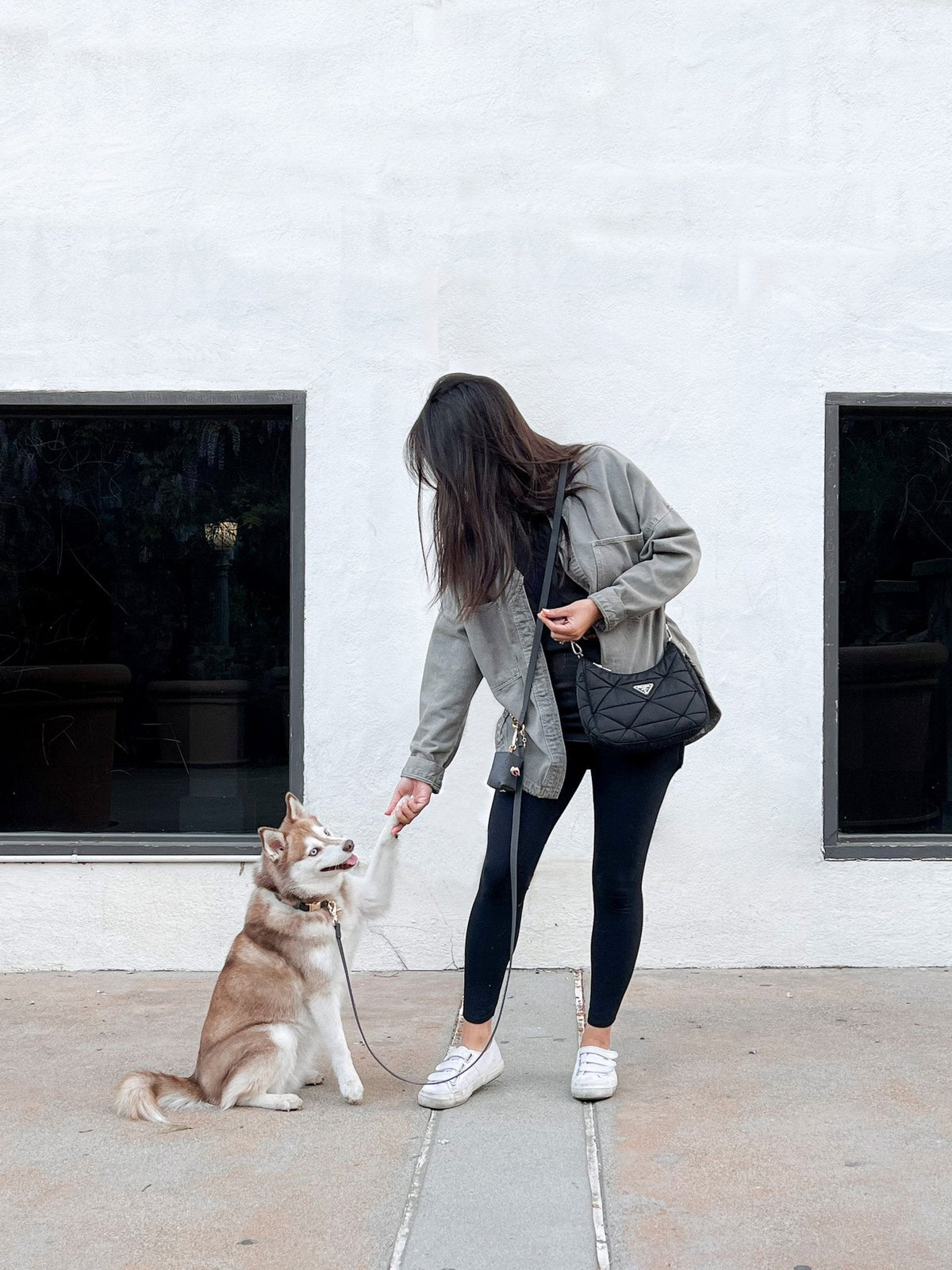 Cloud Dog Collar Bundle
