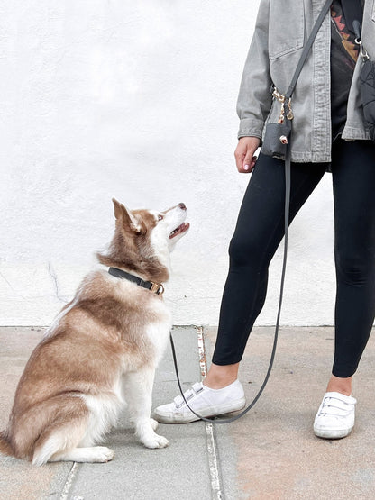 Cloud Dog Collar Bundle