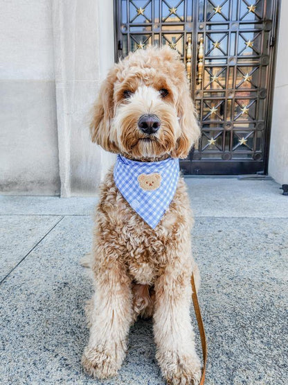 Periwinkle Blue Gingham Teddy Bear Dog Bandana