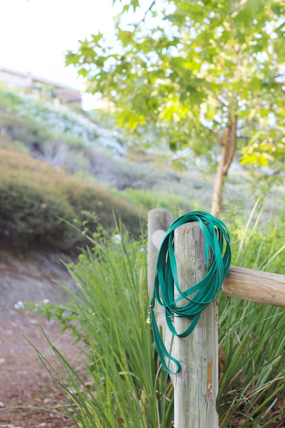 Meadow Green Waterproof Cloud 30 Ft Dog Leash