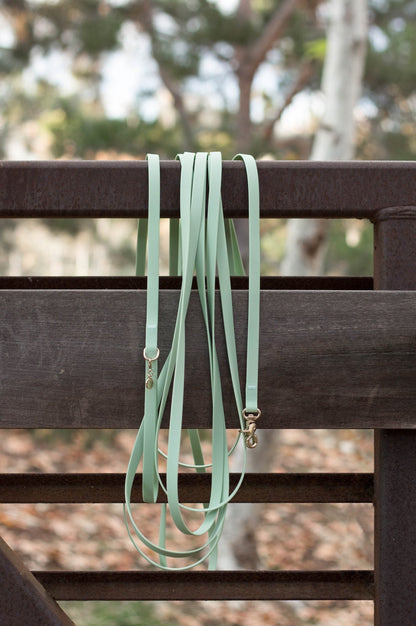 Pistachio Green Waterproof Cloud 30 Ft Dog Leash