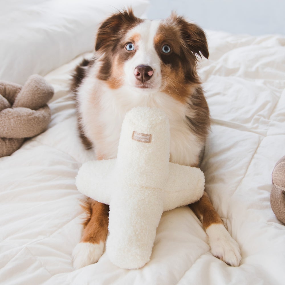 BREUER Oversized Squeaker & Crinkle Dog Toy