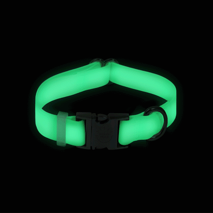 Lunar Glow Waterproof Dog Collar