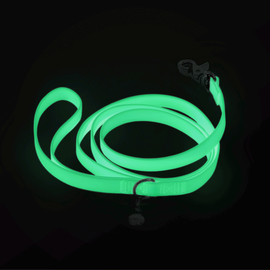 Lunar Glow Waterproof Cloud Dog Leash