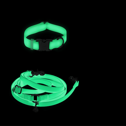 Cloud Dog Collar Bundle