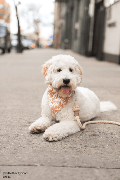 Giraffic Jam Dog Bandana