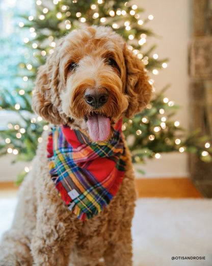 Holiday Cheer Dog Sailor Bow