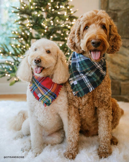Evergreen Plaid Frayed Dog Bandana