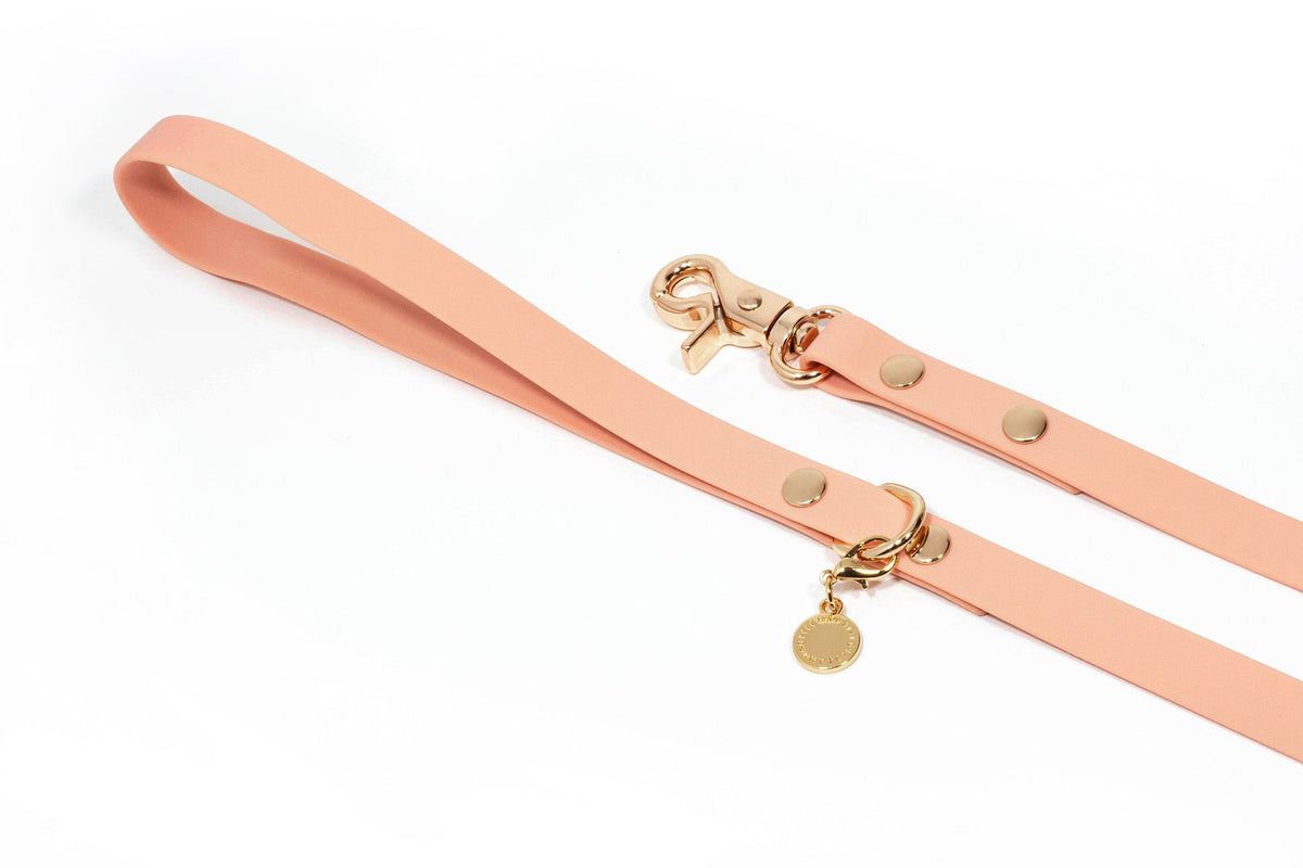 Peach Waterproof Cloud Dog Leash