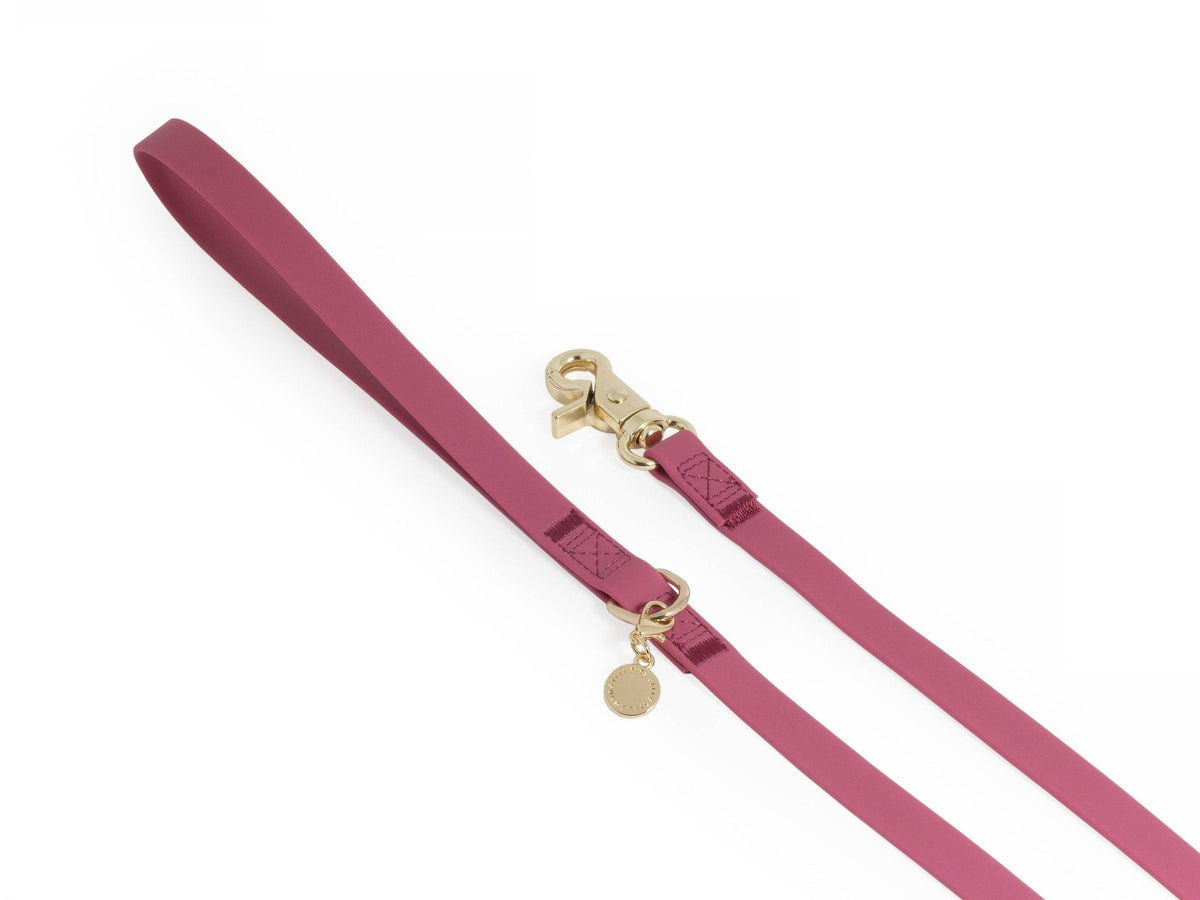 Mulberry Burgundy Waterproof Cloud Dog Leash