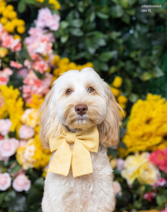 Yuzu Yellow Linen Dog Sailor Bow