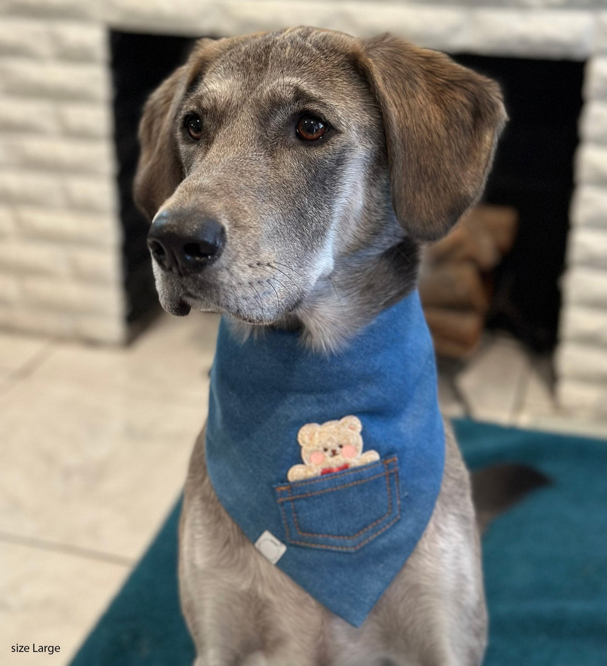 Pocket Teddy Indigo Denim Dog Bandana - Beige